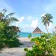 Мальдивы Чат🌴 Maldives☀️ Доступннее и ближе чем вы думаете😍