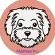 Maltese Inu - Official game token