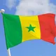 Marché Sénégal vente en gros et détail location et vente de voiture