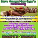 New Meega Marriage's & Assembly
