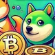 Meme coinler grub vip