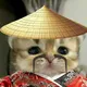 " It me MEOW "