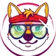METAL SHIBA | COMIC - NFT MARKETPLACE - DAO - STAKING - P2E Game