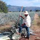 Мексика 🇲🇽 Ривьера Майя, советы, общение, услуги