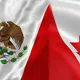 🇲🇽 Mexicanos progresando en Toronto y GTA 🇨🇦
