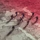Middle East Now | Breaking News