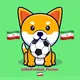 MINIFooTBall IRAN 🇮🇷