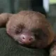 Рекламная группа созданная для вас