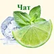 ☀️Мята. Философия аромата Chat