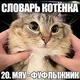 mipohhhh // бджилка