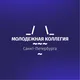 Молодёжная коллегия Санкт-Петербурга