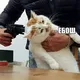 некстати