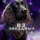Вз звёздных