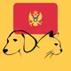Черногория с питомцем (собака, кошка и проч)