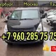 Краснодар Ташкент автобус