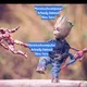 MOVIES, TECH & COMPUTER,squid game 1,2|incredibles 2| hollywood|net naija,|bongohits|Movie theater, Avatar: The Last Airbender
