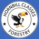 Maharashtra Forest ACF/RFO 2023