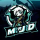 Mr_Javad