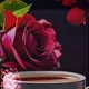 موسیقی با گلسرخ
