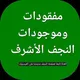 مفقودات النجف