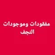 مفقودات وموجودات النجف