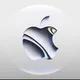 IPHONE SAVDO NAMANGAN 
