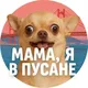 Мама, я в Пусане