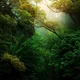 Nature Landscape Animal Photography Videos - TikTok Backup by AppleEditing [Mountains / Glaciers / Oceans / Switzerland]