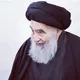 المسائل المنتخبة للسيد السيستاني ( دام ظله )