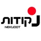 נקודות.