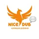 NiceDub талқы 💬