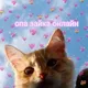 НОУ СНАЙС / МУЗЫКАЛЬНЫЙ ЧАТ