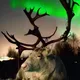 Tromso Northern Lights hunting