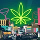 Party for New York / New Jersey 🍃🍁