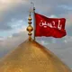 الشاعر أبو علي الركابي ( قناة قصائد اهل البيت ع )