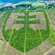 Občiansky Generálny Štrajk skupina