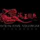 OCK【海王龍魚】| MAYIN MALAYSIA