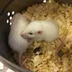 околонауки