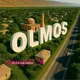 Olmosliklar Group+24