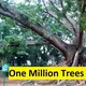 One million trees for Bangalore