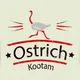 Ostrich kootam© • Announcements