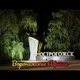Острогожск Воронежские Афины