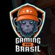 P2EBrasil™ 🇧🇷 Official