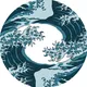 PACIFIC DeFi News &amp; Announcement Channel