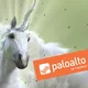 Palo Alto Networks Russia and CIS