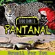 Pantanal чат Brazil For You