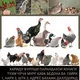 ПАРАНДА БОЗОРИ 🇹🇯ТОЧИКИСТОН🇹🇯. 🐣🐓🦆🦚🦃🦜🕊️🐝🐰🐇