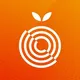 Peachfolio Indonesia