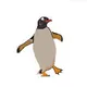 Penguin memecoin
