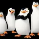 PENGUINS OF MADAGASCAR